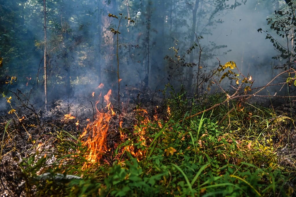 Лесные пожары недалеко от Белоомута